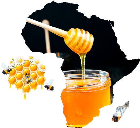 Nuri Danışman Çiftliği Bal